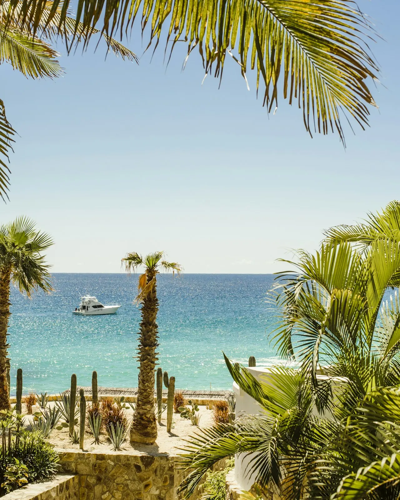 Palm trees framing a calm turquoise sea with a boat offshore
