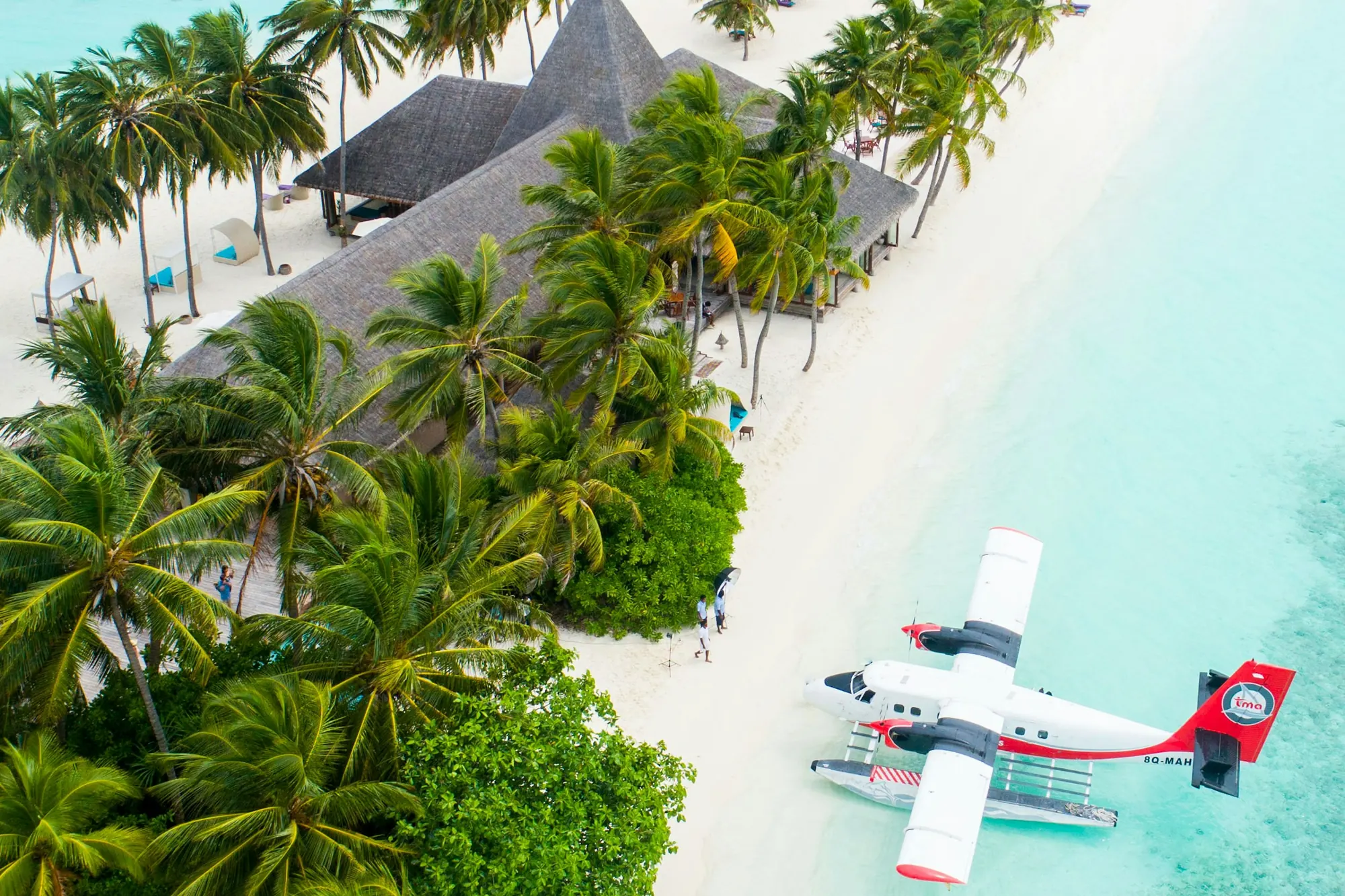A float-equipped turboprop parked off a palm-lined white sand beach, seen from above